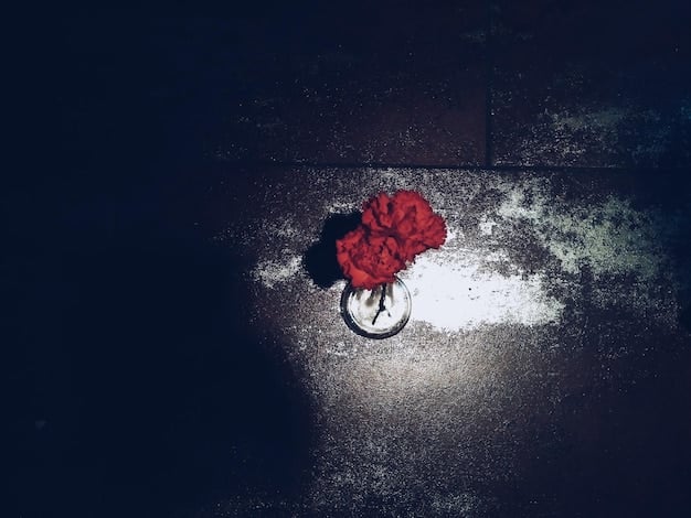 A single red rose lying on a cracked concrete surface, with neon lights casting a vibrant glow in the background. The juxtaposition of the delicate flower against the harsh, broken texture of the concrete creates a striking visual contrast, symbolizing beauty in decay and hope amidst urban grit.