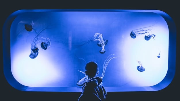 The Future of Film: Predicting Trends for 2025 and Beyond