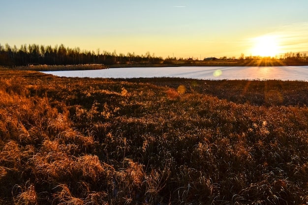 A wide shot capturing a serene rural landscape at sunset. The golden light bathes the fields, and a lone figure stands in the middle, gazing towards the horizon. The image evokes a sense of nostalgia and the simple beauty of rural life.